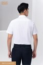 SASNBC20M copy 3-80 Ảnh của Sơmi ngắn tay